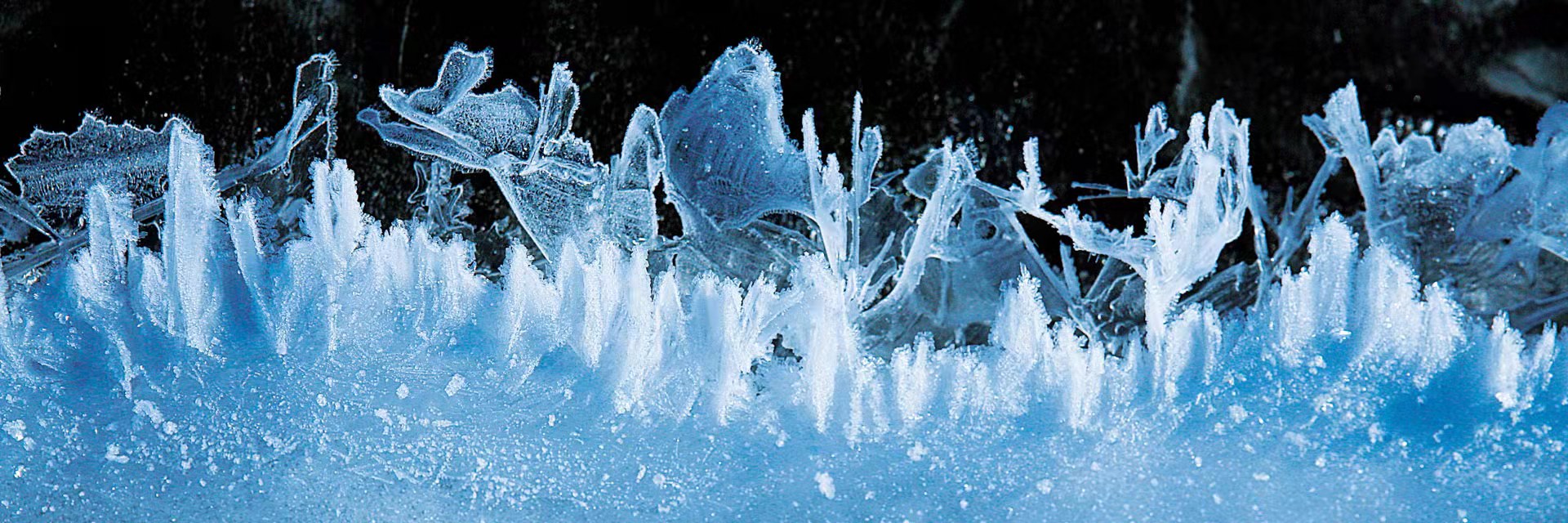 郎立兴冰雪摄影展在呼伦贝尔开展 用镜头记录超凡绝尘的冰雪艺术世界