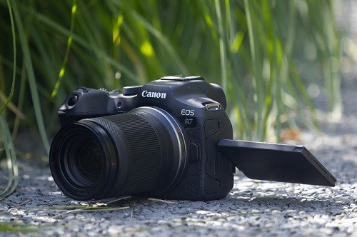 初秋轻户外偶遇小确幸 佳能EOS R7实拍体验
